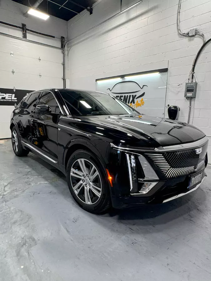 Professional car window tint installation Hamilton Ontario